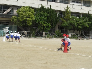 IMG_3017