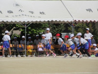 IMG_6715