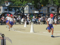 IMG_6718