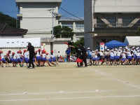 IMG_6778