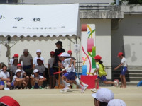 IMG_6887