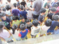 IMG_7262