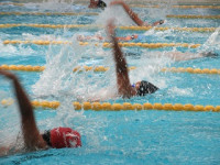 IMG_8575