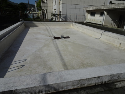 DSC09648