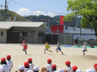 IMG_2894