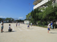 IMG_0774