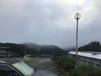 IMG_0791